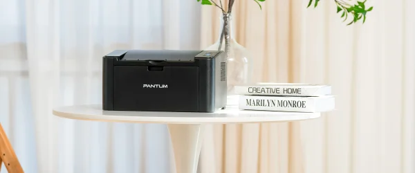 Принтер Pantum P2516 — принтер в интерьере